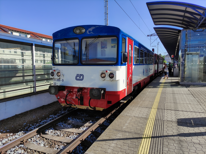 810 289-9