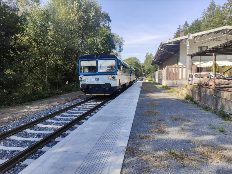 810 229-5