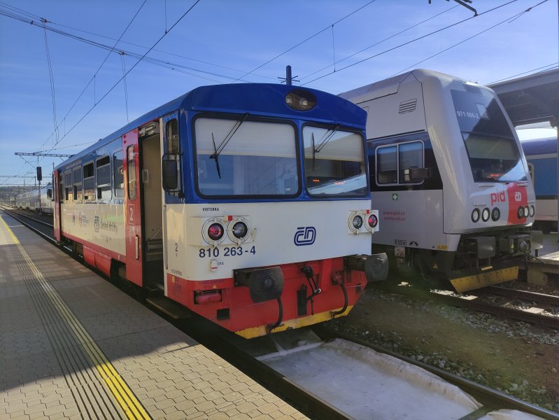 810 263-4