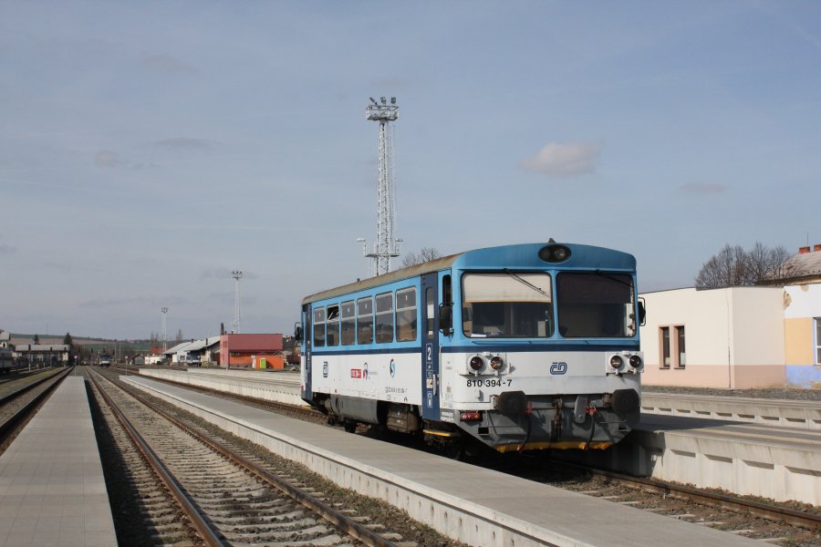 810 394-7