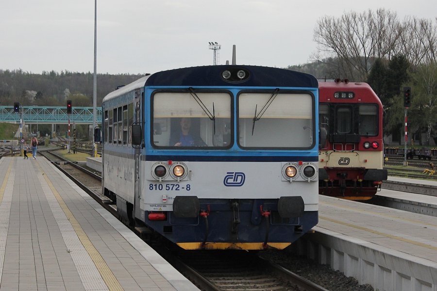 810 572-8