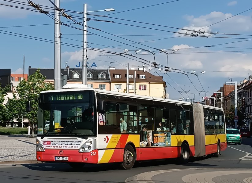 231