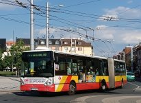 231