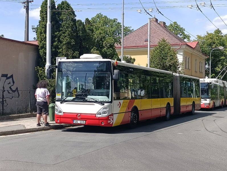 229