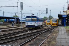 810 631-2