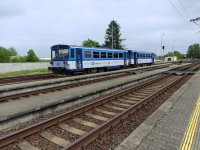 811 444-9