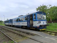 811 444-9