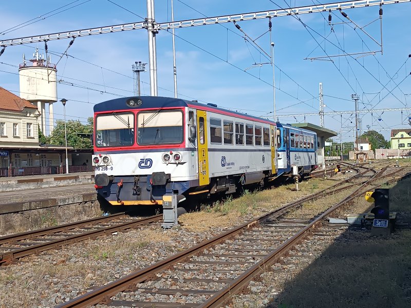 810 298-0