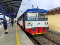 810 289-9