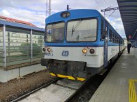 810 621-3