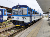 811 382-1