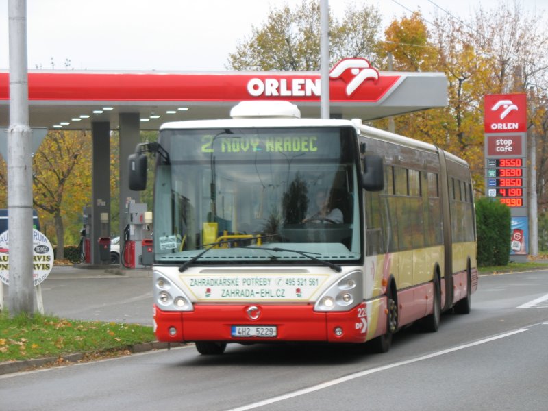 229