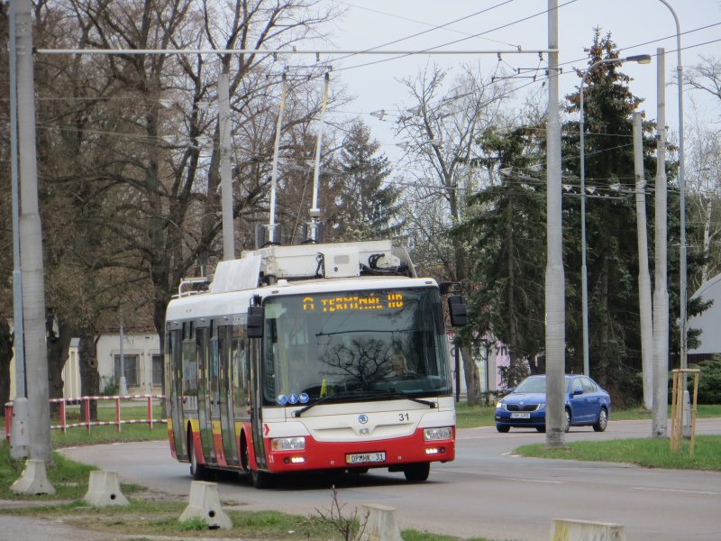 31