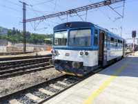 810 575-1