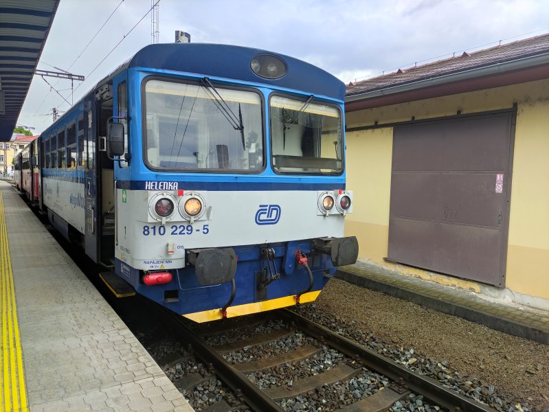 810 229-5