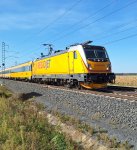 388 206-5