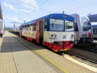 810 263-4