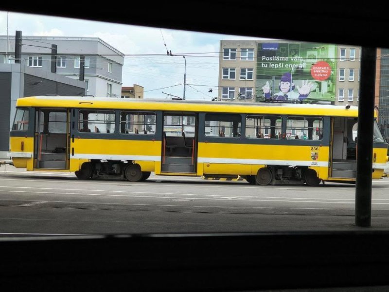 256