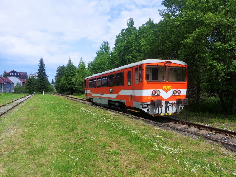 811 021-5