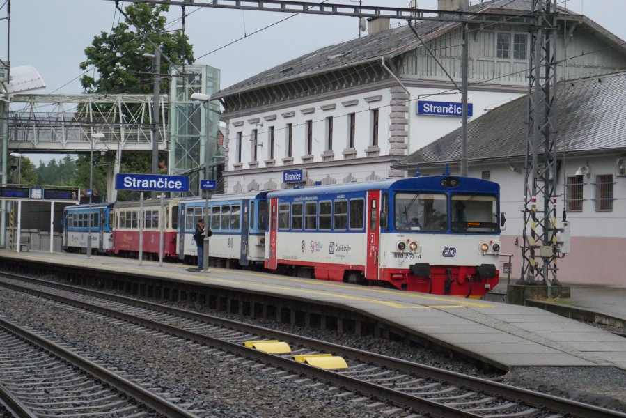 810 263-4
