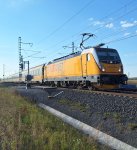 388 202-4