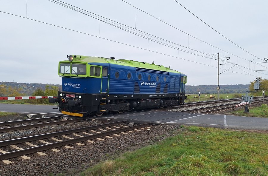 753 736-8