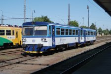 810 631-2