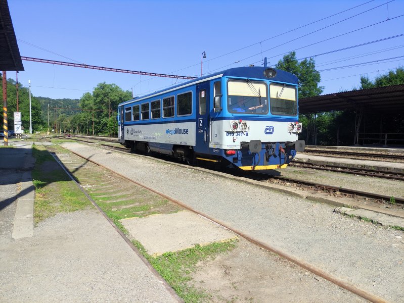 810 341-8