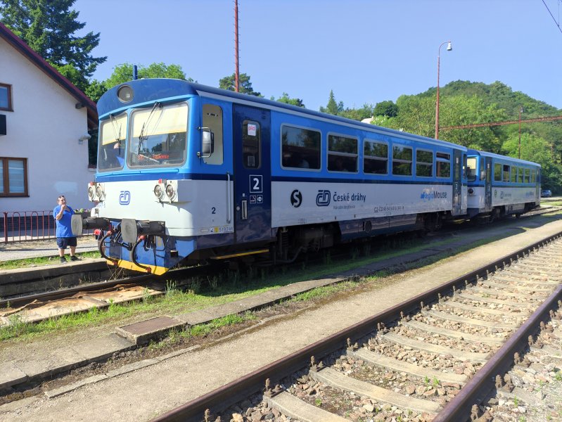 810 341-8