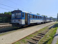 810 341-8