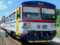 810 298-0