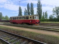 810 517-3
