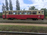 810 517-3